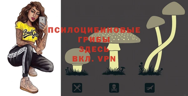 гидропоника Алексин