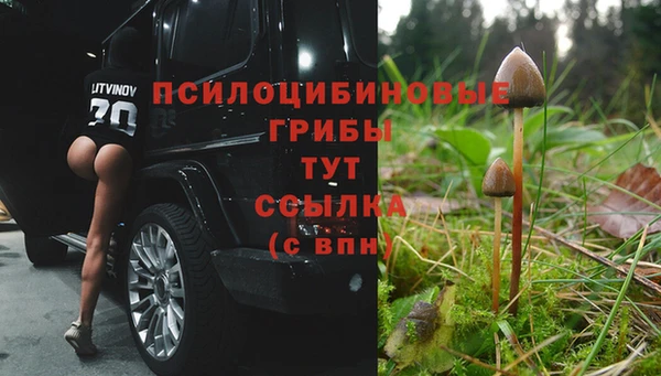 скорость Алексеевка
