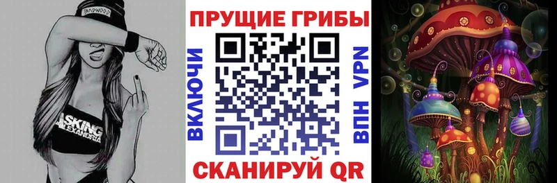 Псилоцибиновые грибы Cubensis  дарнет шоп  Магадан 